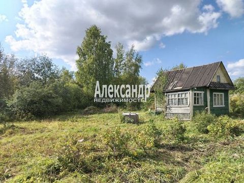 1700436 В городе Волхов, на землях поселений, предлагаем купить отличный высокий участок почти 7 соток. Хорошее местоположение, соседи только с двух сторон, с третьей кустарник и берёзы. На участке бетонный колодец, домик - времянка на период когда с...