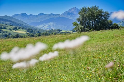 EXCLUSIEF biedt uw CAUBET IMMOBILIER-agentschap u dit perceel grond aan op de hoogten van Bagnères-de-Bigorre. Dit perceel met een oppervlakte van 3.240 m2 geniet van een adembenemend uitzicht op de Pyreneeën. U kunt ook profiteren van een bouwvergun...