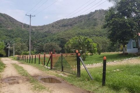 A nice lot to build your dream summer house, in the municipality of Melgar towards Carmen de Apicalá, a spectacular flat land of 3/4 fanegada bordered with native trees, right on the banks of the Agua Negra creek. In a quiet subdivision with availabi...