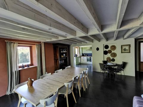 photo no. 10
