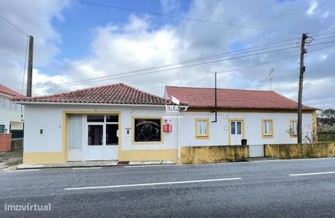 Maison rez-de-chaussée composée de trois chambres, une cuisine, une salle de bains et un salon. Il est inséré dans un terrain de 1000m2, avec possibilité d’expansion de la structure. Il convient également de noter une annexe de la villa, autrefois un...