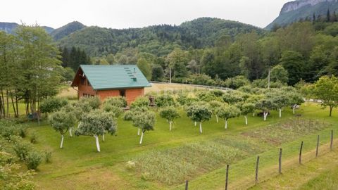 Location: Primorsko-goranska županija, Delnice, Brod na Kupi. GORSKI KOTAR, BROD NA KUPI - Terreno edificabile di 1960m2! Offriamo un terreno edificabile in una pittoresca zona di montagna, situata nell'idilliaca Brod na Kupa. Questa bellissima area ...