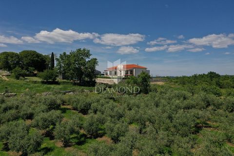 Location: Istarska županija, Poreč, Poreč. Istrien, Poreč, Umgebung Eine wunderschöne Steinvilla steht in der Umgebung von Poreč zum Verkauf, auf einer Anhöhe gelegen und von Olivenhainen und Weinbergen umgeben. Die Villa, gebaut im Jahr 1921, wurde ...