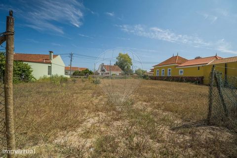 Terreno para venda na rua secundária que liga a Murtosa a Veiros!  Este terreno com 3225m2, com duas entradas, todo murado, é o imóvel ideal para construir a sua casa como tanto idealizou. Encontra-se virado a nascente e por isso poderá contar sempre...