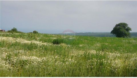 REMAX propose à la vente un terrain réglementé d’une superficie de 4158 m². m dans le village de Dolen Bliznak, région. Varna. La ville est à 24 km et la station balnéaire de Kamchia à seulement 3 km. Le terrain est plat avec une forme régulière. De ...