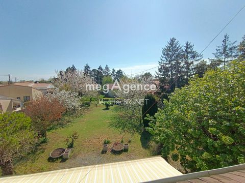photo no. 14