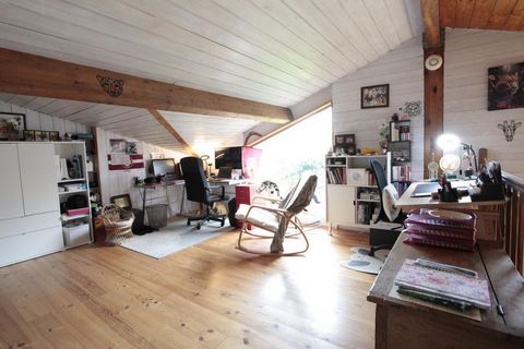photo no. 11
