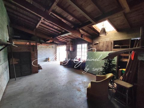 photo no. 17