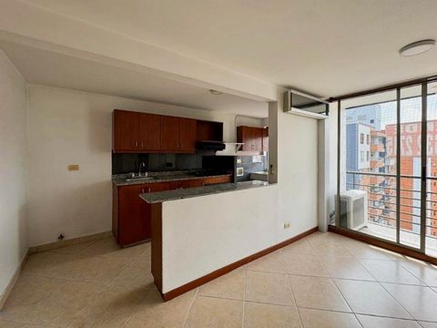 It has 2 bedrooms plus a study, kitchen, dining room, 2 full bathrooms, laundry area and balcony. The apartment has parking and useful. The unit has a swimming pool, gym, social room, Turkish and green areas. Adm. $415,000 Features: - Balcony - Furni...