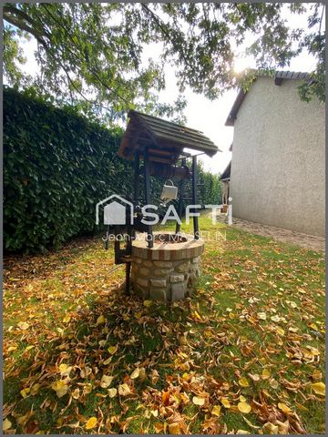 photo no. 19