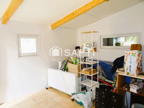 photo no. 15