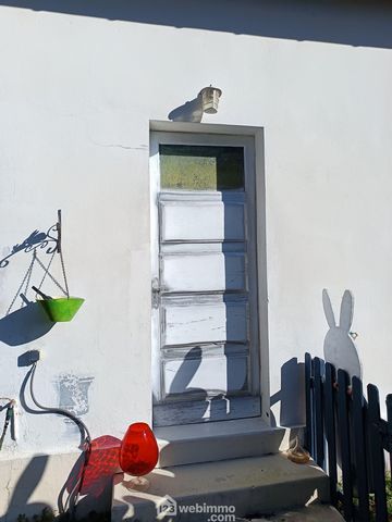 photo no. 11