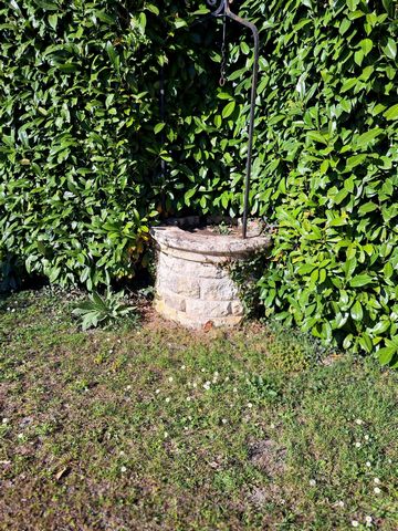 photo no. 13