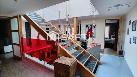photo no. 6
