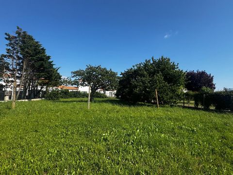 photo no. 3