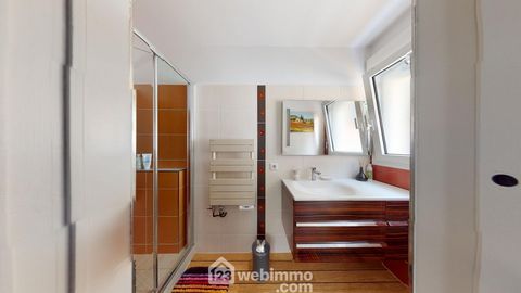 photo no. 11