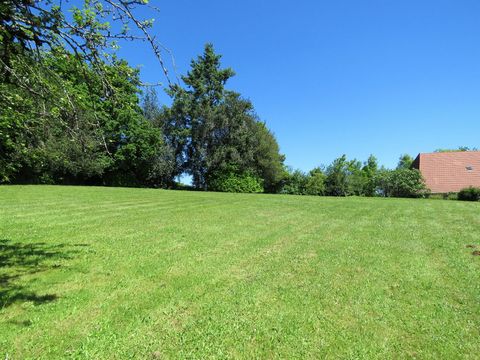 photo no. 17