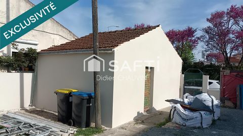 photo no. 13