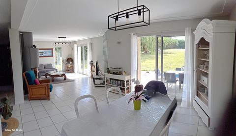 photo no. 9