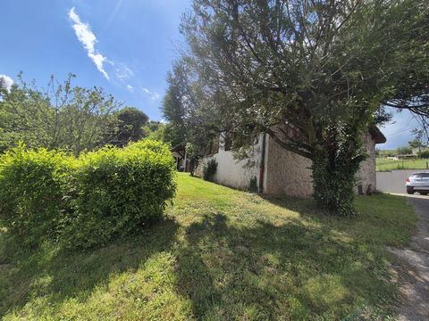 photo no. 3