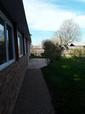 photo no. 4