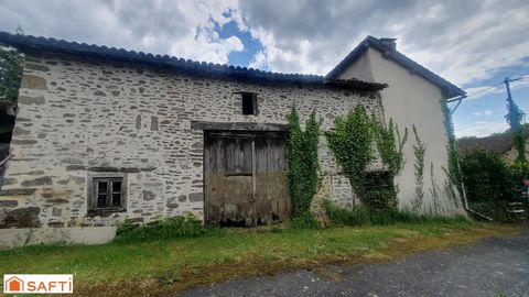 photo no. 14