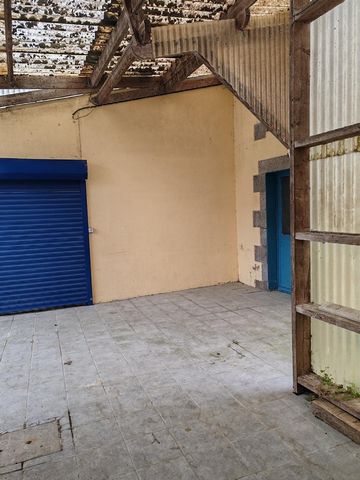 photo no. 2