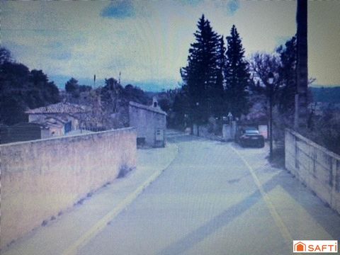 photo no. 12