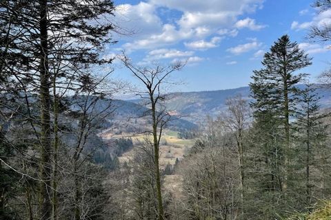 Dit charmante chalet in Gerbépal biedt comfortabel plaats aan maximaal 8 gasten, verdeeld over 4 slaapkamers. Het beschikt over een gemeubileerd terras, ideaal om te genieten van maaltijden terwijl u geniet van de rustige, natuurlijke omgeving. Op sl...