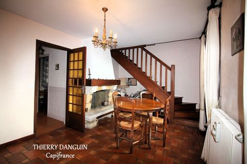 photo no. 2