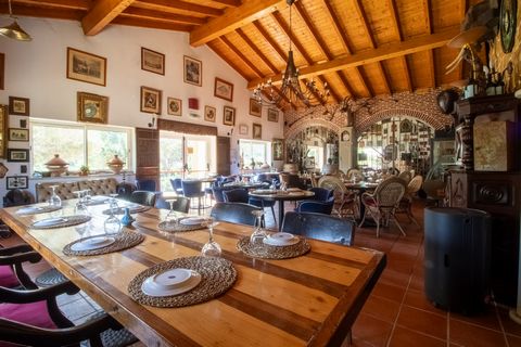 Looking to invest in a space with enormous potential? This fully equipped café-restaurant in Aljezur is ready to operate. Set on a 3,250 m² plot with 230 m² of built area and a total capacity for 250 guests (90 indoors and 160 on the terrace), it's p...