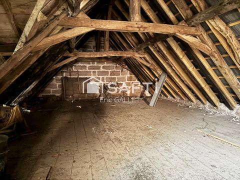 photo no. 5