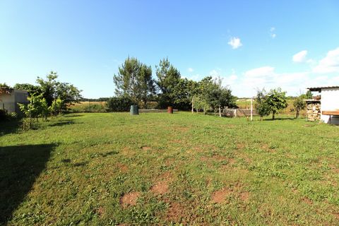 photo no. 16