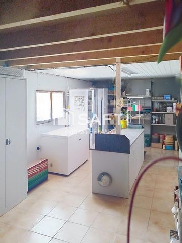photo no. 12
