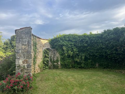photo no. 12
