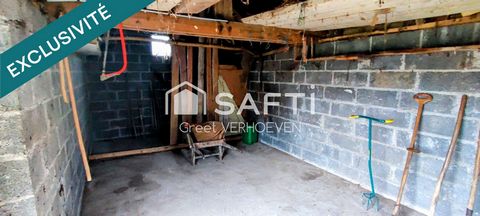 photo no. 12