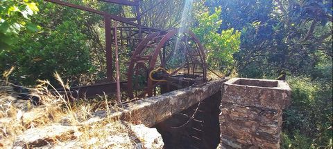 Descubra esta encantadora propriedade no campo localizada perto da aldeia de São Marcos da Serra, no concelho de Silves. Com uma área total de terreno de 70 hectares, esta propriedade oferece uma vastidão de possibilidades. Com vistas para as montanh...