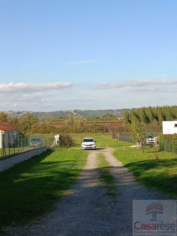 photo no. 2