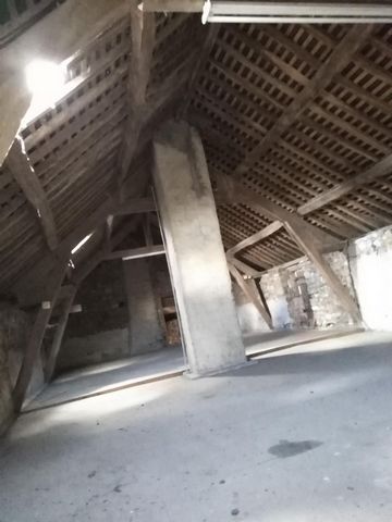 photo no. 5