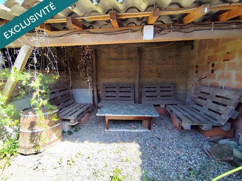 photo no. 11