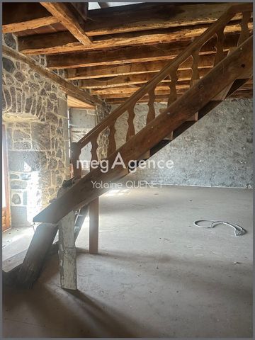 photo no. 3