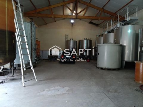 photo no. 1