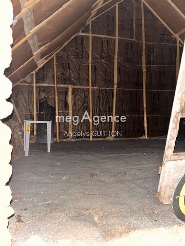 photo no. 8