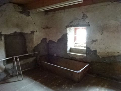 photo no. 14