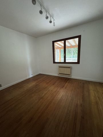 photo no. 11