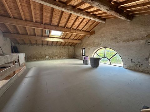 photo no. 18