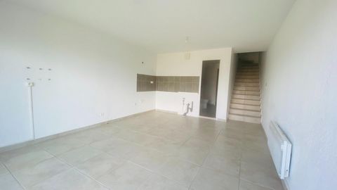 photo no. 2