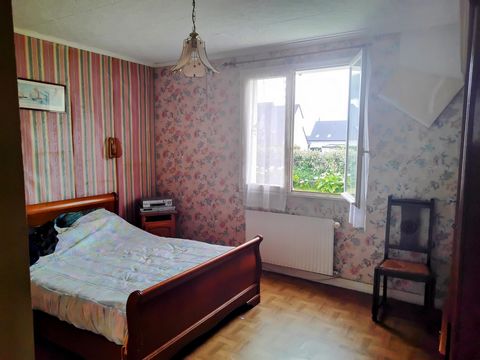 photo no. 8