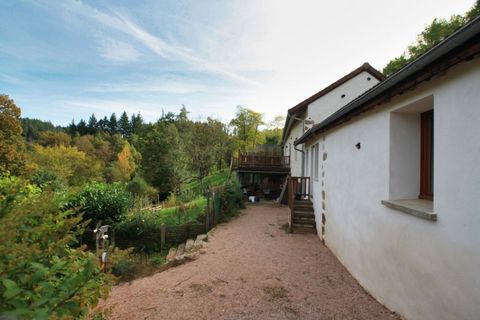 photo no. 2