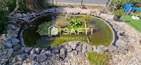 photo no. 11